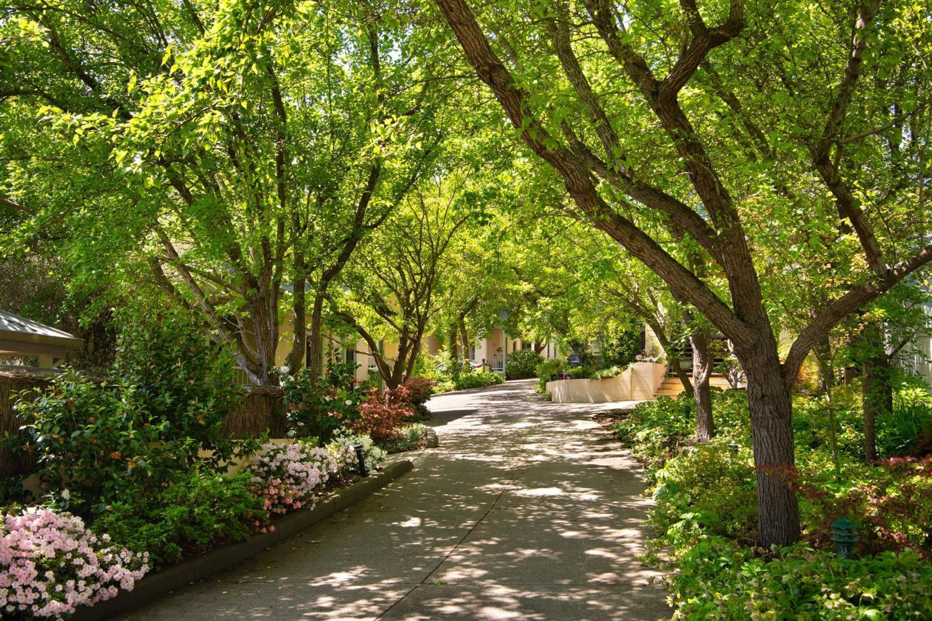 Villa Sorelle Daylesford Exterior photo